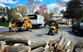 Best Firewood Processing and Delivery  in Hotchkiss, CO