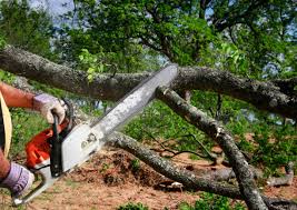 Best Lawn Grading and Leveling  in Hotchkiss, CO